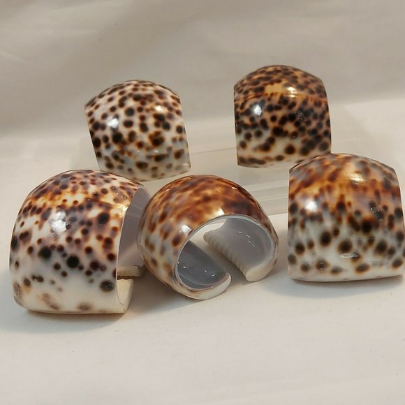 Vintage Lot 5 Spotted TIGER COWRIE Sea Shell Napkin Rings Holders - Picture 4 of 8